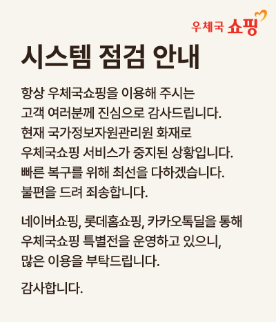 시스템 점검 안내